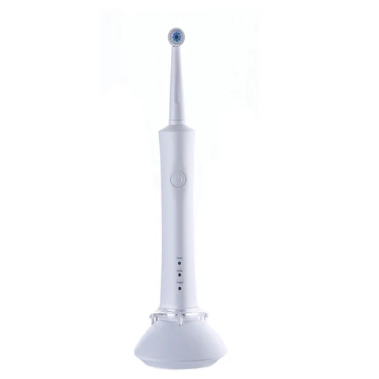 Tête de brosse à dents ronde personnalisable OEM et ODM, brosse à dents rotative électrique étanche Ipx7